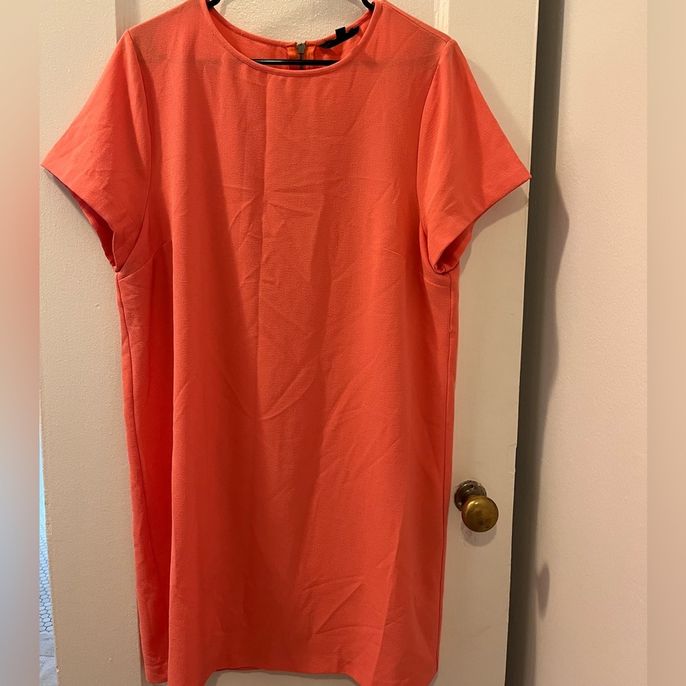 Felicity & Coco Dress